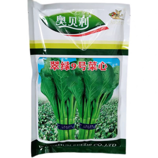 翠绿9号菜心种子中晚熟圆叶菜苔种籽叶片椭圆亮绿茎秆油绿耐湿热