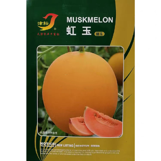 漯河虹玉甜瓜种子 新育成甜瓜品种 高圆型 甜香柔滑 抗病