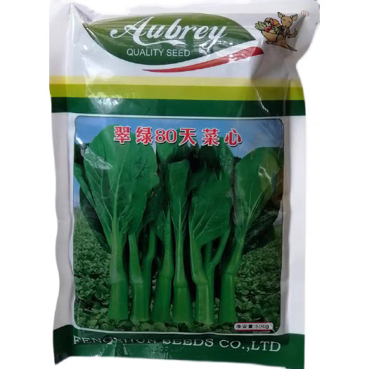 翠绿80天菜心种子 中晚熟菜苔 叶片椭圆 菜苔翠绿光泽