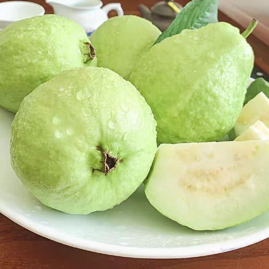 白心番石榴