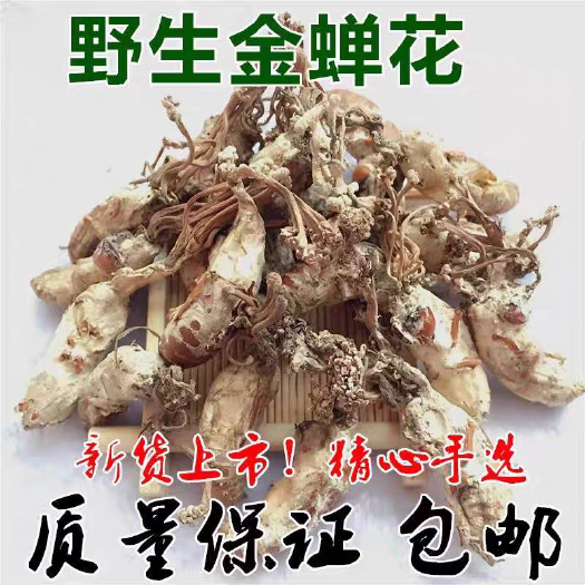 安国市正品！金蝉花！规格齐全！干货！实拍图！包邮到家！无硫新货！