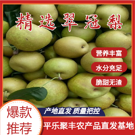 平乐县广西产地翠冠梨大量出货，市场，电商欢迎对接