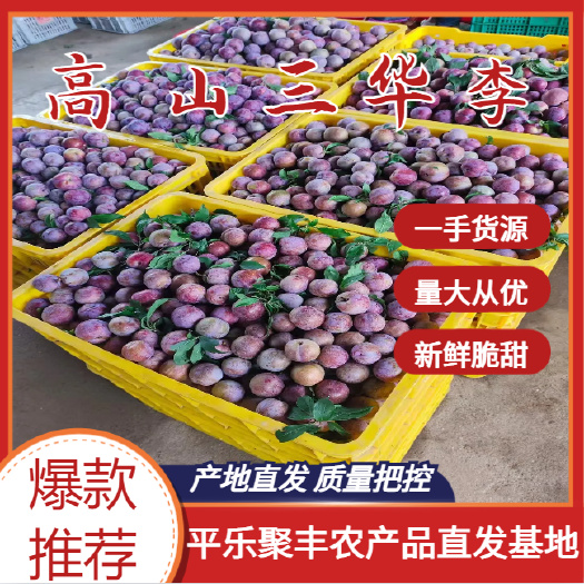 平乐县广西桂林产地三华李，对接市场，电商，工厂，有需要的朋友联系我