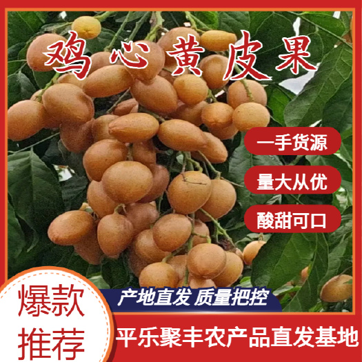 广西桂林产地鸡心黄皮供应，对接市场，工厂，有需要的朋友联系我
