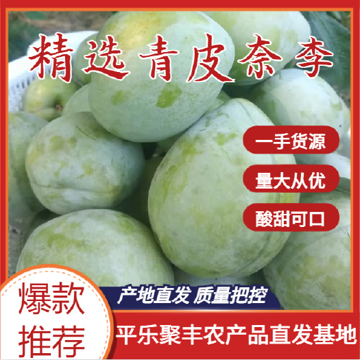 平乐县广西桂林青皮奈李，货源充足，诚信代办