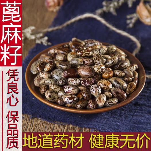 安国市蓖麻子，新货，干净无杂！包邮到家。