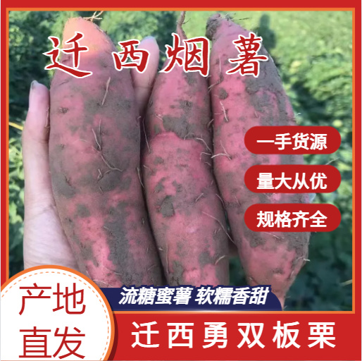 河北烟薯25蜜薯烤薯专用量大从优优选红薯软糯地瓜沙地紫皮红心