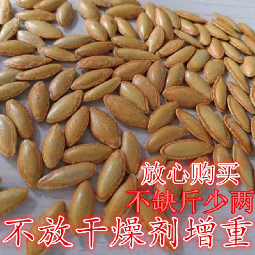 美人甲南瓜子长粒椒盐原味新货批发厂家直销炒熟美指甲南瓜籽包邮