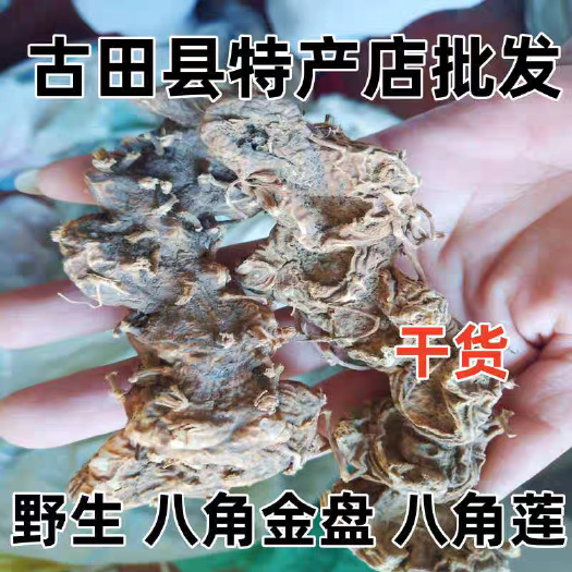 安国市八角莲 正品！无硫新货！！实拍图！干货！！包邮到家！