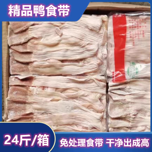 连云港新鲜鸭食管冷冻鸭食带鸭肚鸭郡把鸭腺胃鸭板肠鸭肠鸭卤货食材