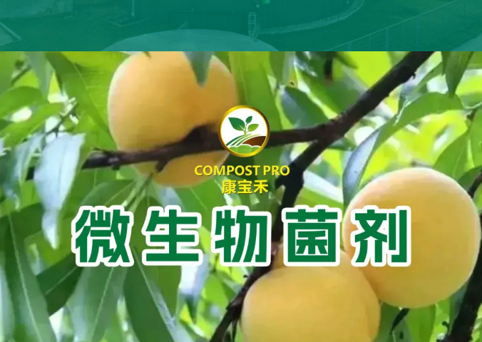 宜城市微生物菌剂桶肥 营养丰富易吸收，增产增收，瓜果蔬菜经济作物用