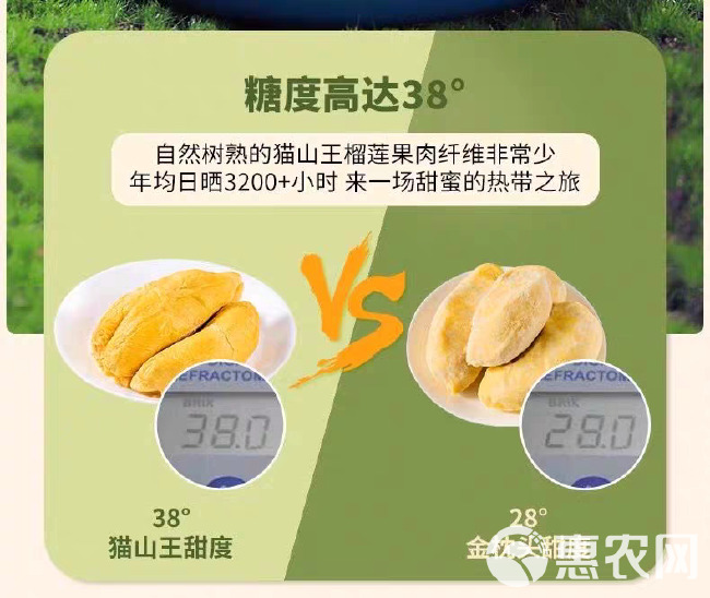 全年供应马来西亚猫山王榴莲D197树上熟液氮冷冻顺丰一件代发