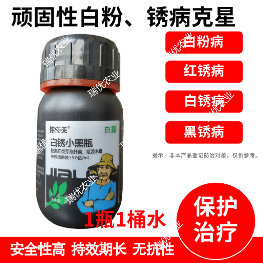 潍坊顽固性白粉锈病白锈红锈黑锈草莓白粉葡萄白粉豆角锈病白锈小黑瓶