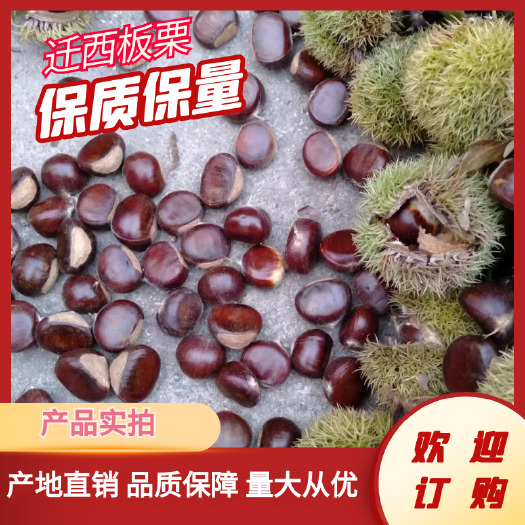 遵化市板栗直销店