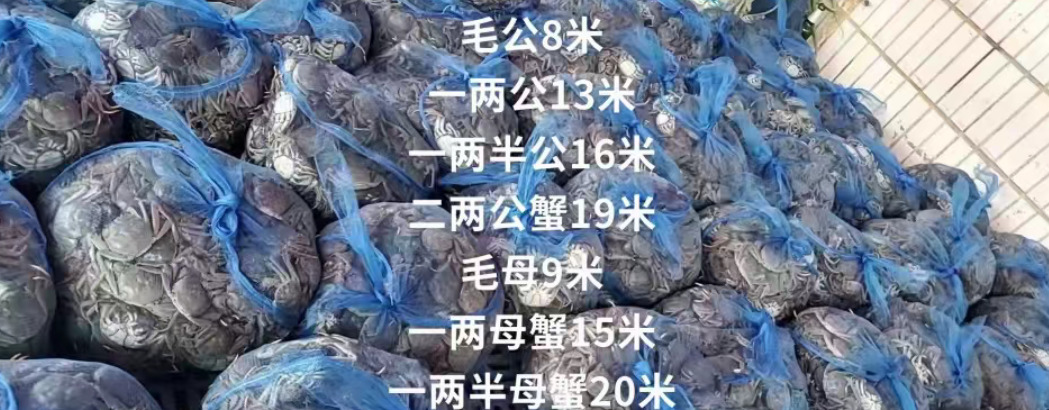 喀左县盘锦河蟹批发(可用于发中秋员工福利)