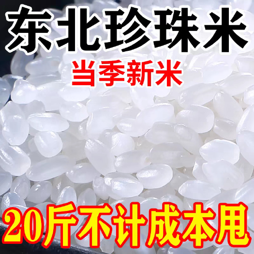 东北大米圆粒珍珠米稻花香米当季新米粳米长粒香米厂家直销