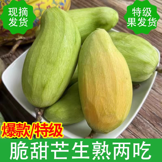 广西青芒果酸野新鲜包邮 【送酸梅粉+辣椒粉+陈皮粉】