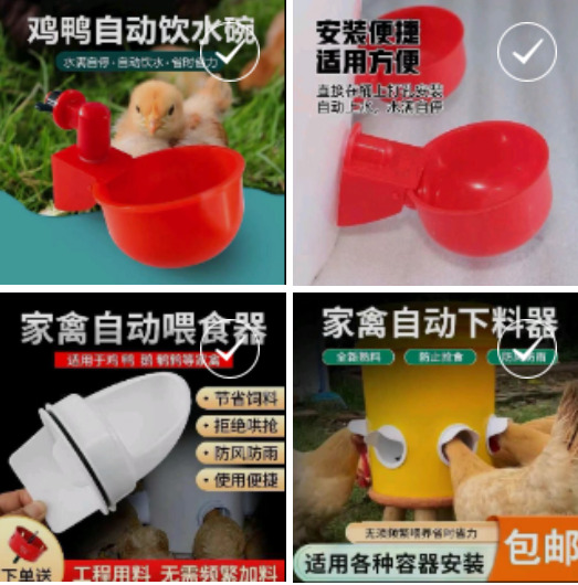 石家庄家禽自动下料喂食器饮水器