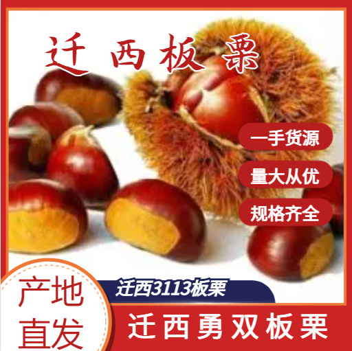 迁西县【24年好板栗】迁西早期3113板栗质量好 口感软糯香甜