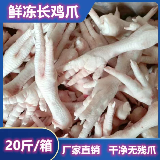 南京散养土鸡鸡爪带骨大鸡爪泡椒鸡脚凤爪无骨鸡爪鸡爪批发生鸡脚商用