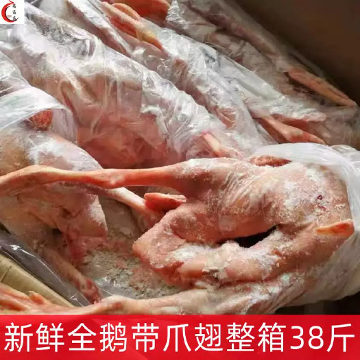 南京新鲜冷冻全鹅子鹅带爪翅整箱38斤白条鹅红烧卤菜饭店食材