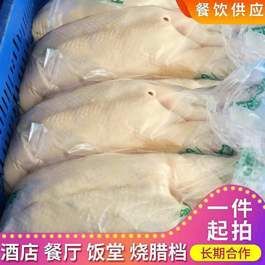 广州冷冻白条鹅肉冻鹅商用中鹅新鲜速冻光鹅烤鹅广东烧鹅专用大鹅整只