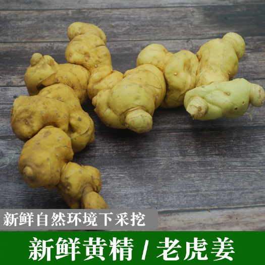 玉林贵州鲜黄精鸡头黄精新鲜老虎姜滇黄精生黄精山九蒸九晒中药材