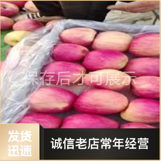 绥中县寒富苹果，产地直销