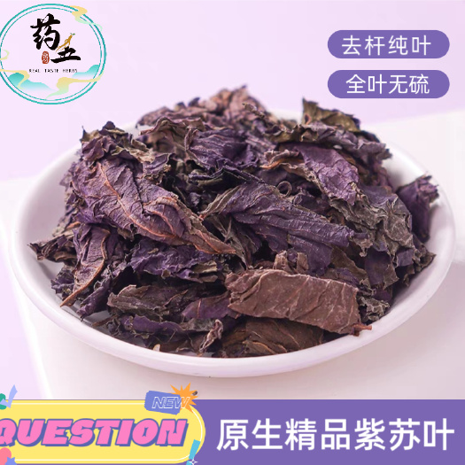 玉林紫苏叶中药紫苏叶去腥新鲜食用干紫苏叶烧鱼调料干紫泡脚农家苏叶