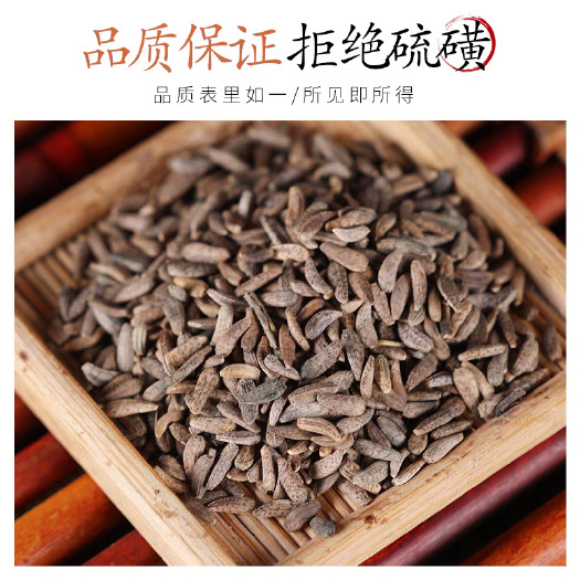 批发中药材 牛蒡子 牛子 产地直销保质保量 量大从优