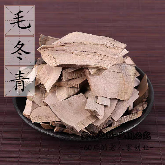 玉林毛冬青根毛冬青树根干货