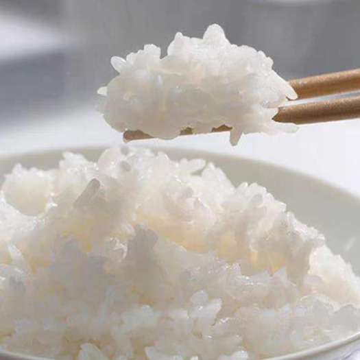 罗山县香米