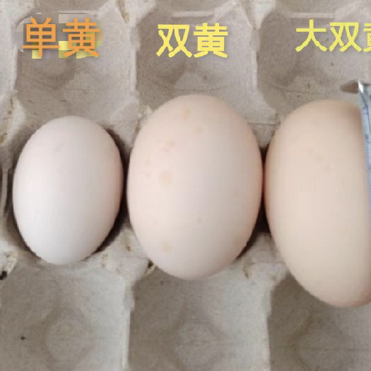 北京正大食品，大双黄蛋4.5元/斤，仅支持自提