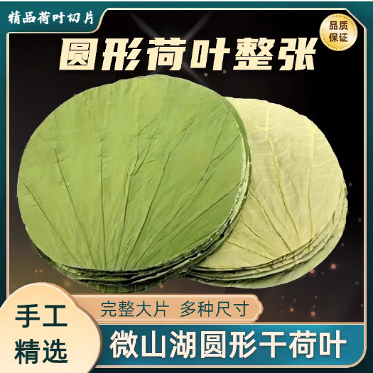 鱼台县微山湖精品荷叶整张切片荷叶圆形方形荷叶批发支持定制