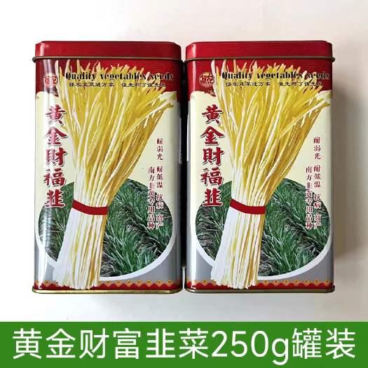 郑州黄金财富韭黄种子 耐低温抗病 直立抗倒伏 叶色金黄肥厚