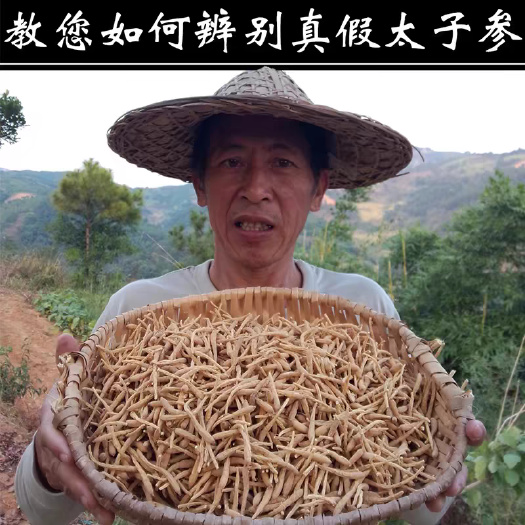 太子参无硫自然晒干无如何添加剂儿童脾胃煲汤中药材（南国之乡）