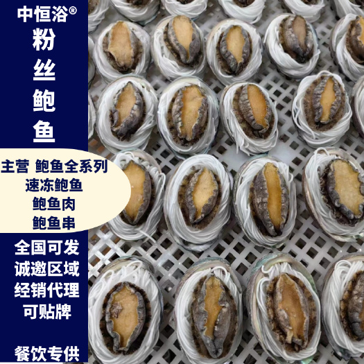 东山县粉丝鲍鱼【鲍鱼工厂】扇贝粉丝酒店食材冻品冻鲍鱼肉批发半成品菜