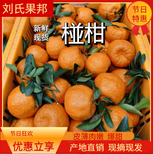 荣县四川碰柑，大量上市啦，好货多多。