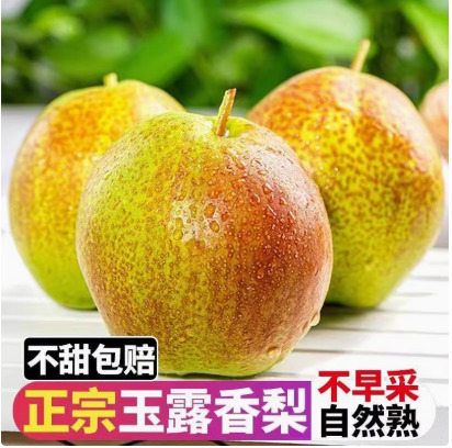 寿阳县山西旱地玉露香梨皮薄水大核小