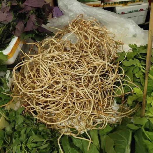 柳州鱼腥草根