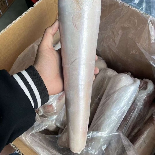 阳信县国产纯干公牛舌