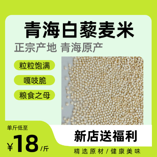 青海格藜 干净饱满 500克真空包邮散装大量批发破损包赔