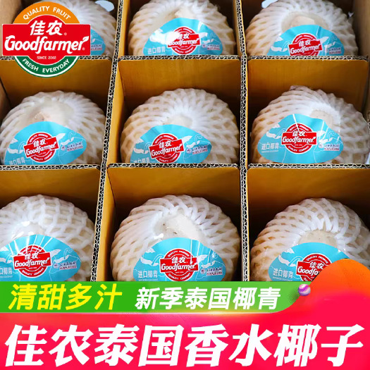 淮安佳农泰国椰青香水佳农椰子去皮椰子新鲜水果一件代发