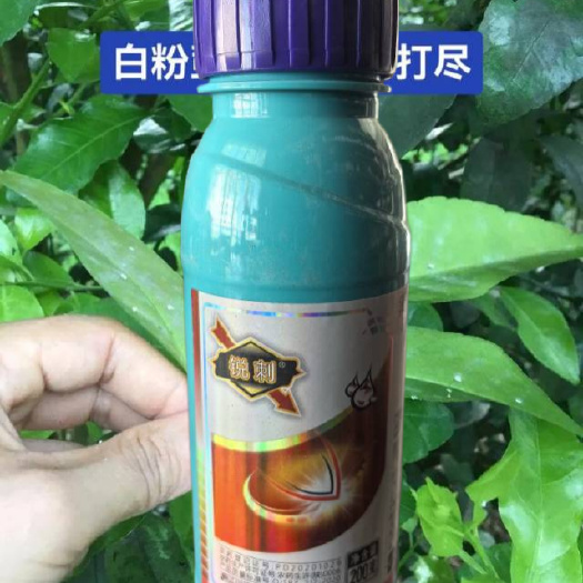 东莞市锐刺 20%氟啶虫酰胺·噻虫胺悬浮剂防治水稻稻飞虱农药杀虫剂