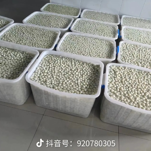 石家庄去皮鹌鹑蛋