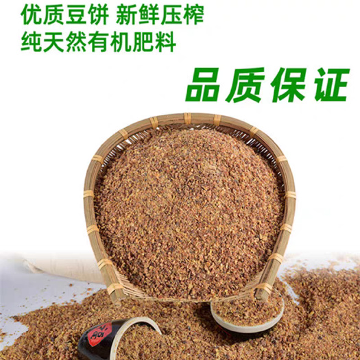 黑山县出售油坊豆饼