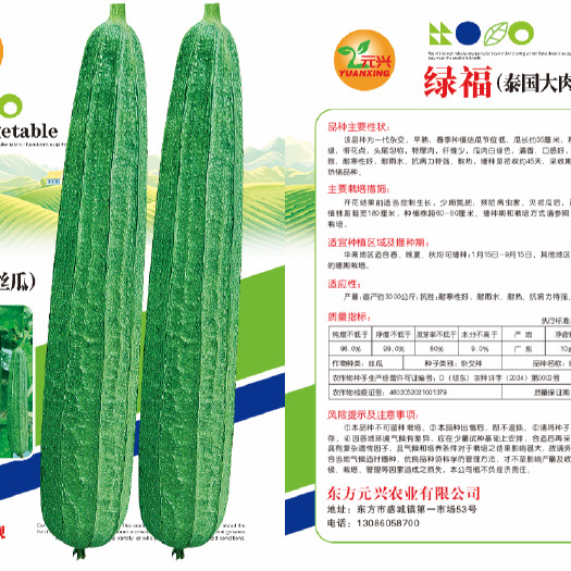 东方市绿福大肉丝瓜种子，口感好，瓜条顺直，均匀一致，耐寒耐热