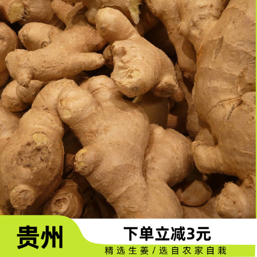 紫云县中药材良姜来自贵州安顺紫云苗族布依族自治县品质可靠根茎类特产