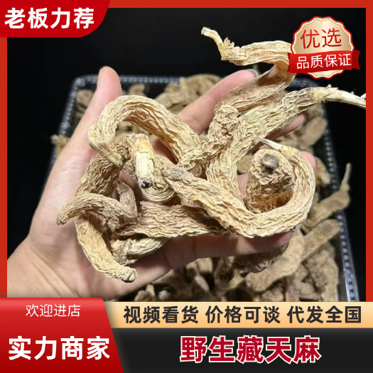 ye外藏天麻 滋补佳品 西藏阿里优质天麻 无硫熏 措勤原产地