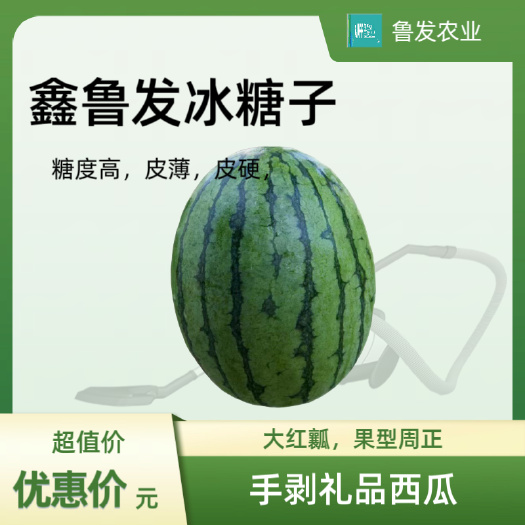 礼品西瓜，冰糖子西瓜鑫鲁发冰糖子，2k西瓜